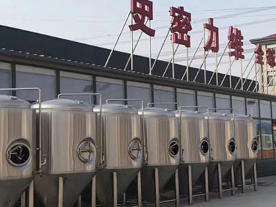 武宁精酿啤酒设备厂—如何判断精酿啤酒设备的密封件需要更换？
